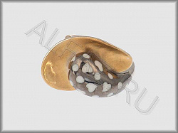 Кольцо из серебра 925 пробы с пескоструйной обработкой, эмалью и чернением